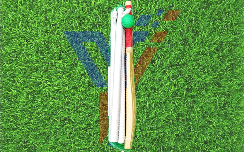 Plastic Cricket Sets for Young Beginners